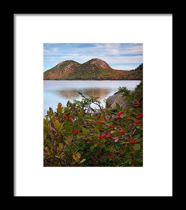 Acadia Framed Print featuring the photograph Jordan Pond with Berries by Darylann Leonard Photography