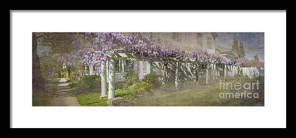 Flowers Framed Print featuring the photograph Jordan Wisteria - Study of the Long View by Marilyn Cornwell