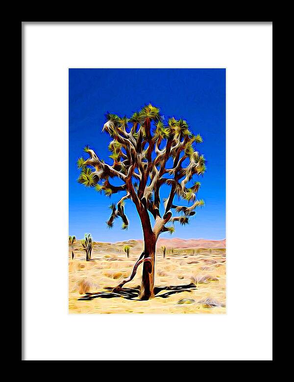 Chaos Framed Print featuring the photograph Joshua Tree dark by Jeff Iverson