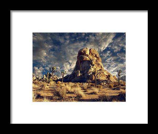 Intersection Rock Framed Print featuring the photograph Joshua Tree National Park by Glenn McCarthy Art and Photography