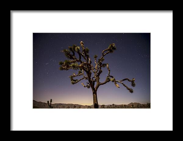 Photography Framed Print featuring the photograph Joshua Tree Night by Lee Kirchhevel