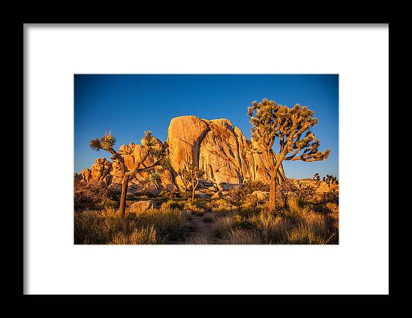 California Framed Print featuring the photograph Joshua Tree Sunset Glow by Peter Tellone