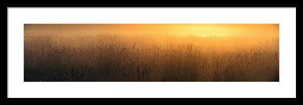 Sunrise Framed Print featuring the photograph Joy in the morning by I'ina Van Lawick