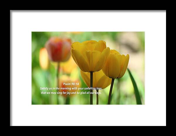 Tulip Framed Print featuring the photograph Joy comes in the morning by Lynn Hopwood