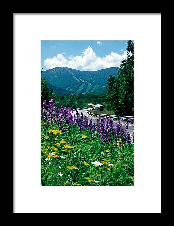 Franconia Notch Framed Print featuring the photograph June in Franconia Notch by Ken Stampfer