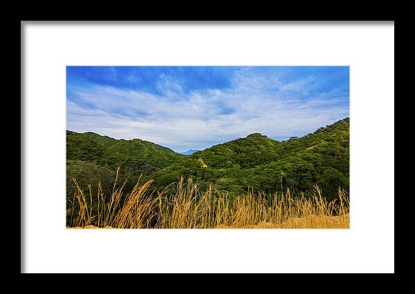 Jungle Framed Print featuring the photograph Jungle by Aged Pixel