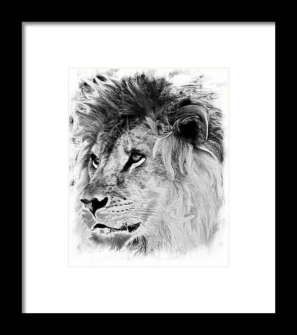 Marcia Lee Jones Framed Print featuring the photograph Jungle King by Marcia Lee Jones