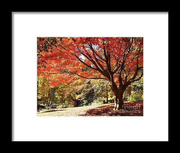 Autumn Framed Print featuring the photograph Just around the Bend by Anita Adams