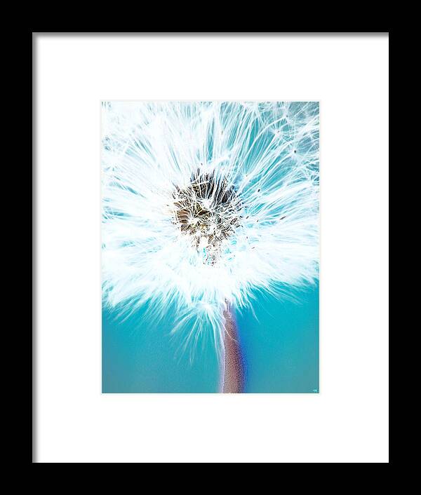 Dandy Lion Framed Print featuring the photograph Just Dandy by Everette McMahan jr
