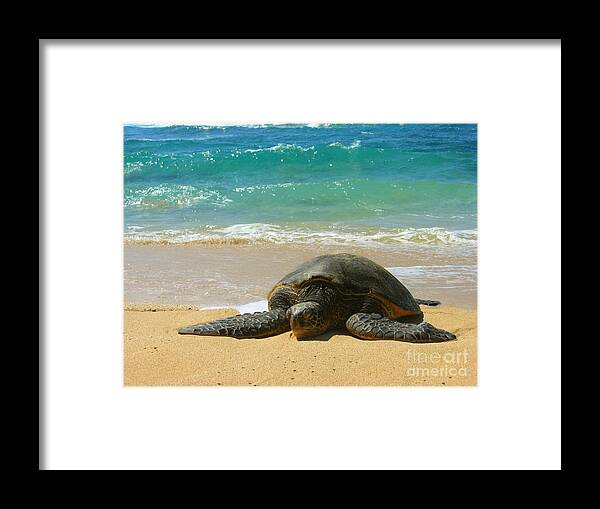 Sealife Framed Print featuring the photograph Just Resting by Christine Stack
