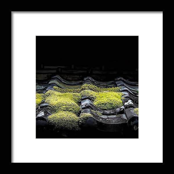 Rscpics Framed Print featuring the photograph Just Some Moss On A Tiled Roof… by Rscpics Instagram