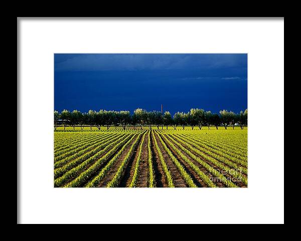 Nature Framed Print featuring the photograph Just Starting by Steven Reed