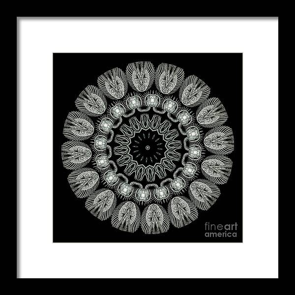 Ernst Haeckel Framed Print featuring the photograph Kaleidoscope Ernst Haeckl Sea Life Series Black and White Set On by Amy Cicconi