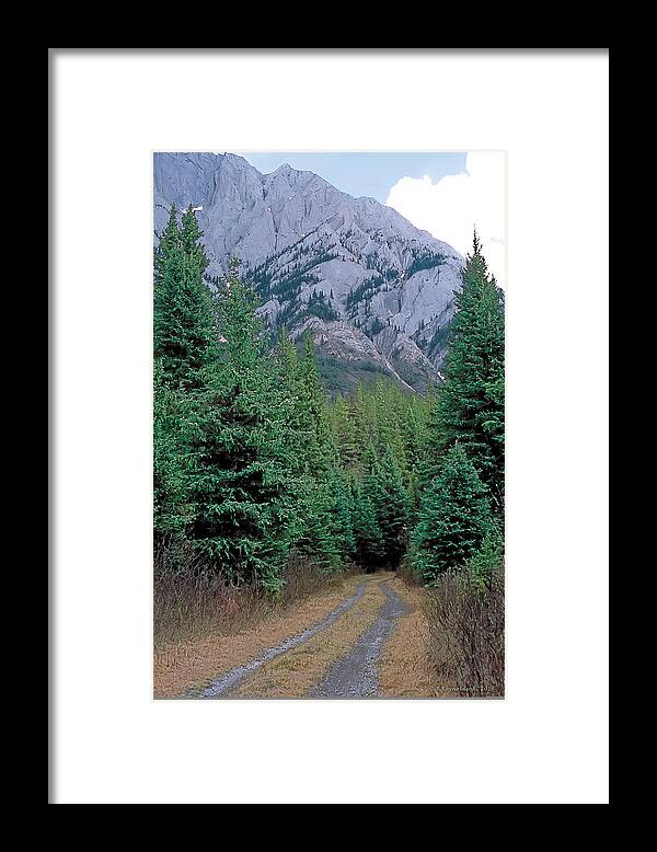 Scenic Framed Print featuring the painting Kananaskis 3 by Terry Reynoldson