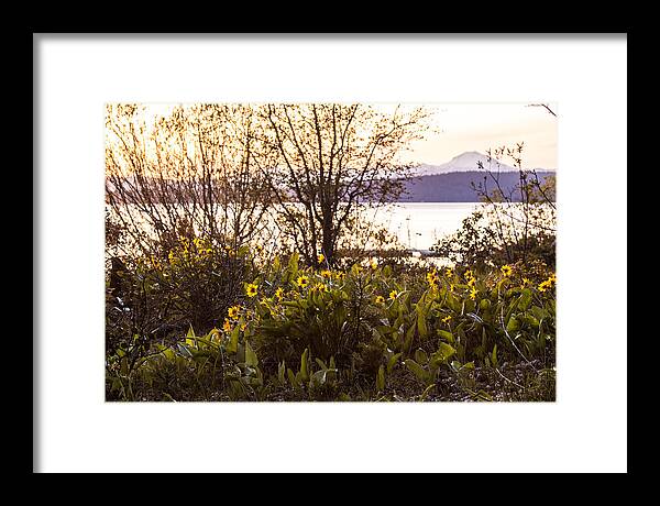 2014 Framed Print featuring the photograph Karel's View by Jan Davies