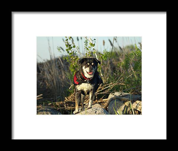 Peterson Nature Photography Framed Print featuring the photograph Kayaker's Best Friend by James Peterson