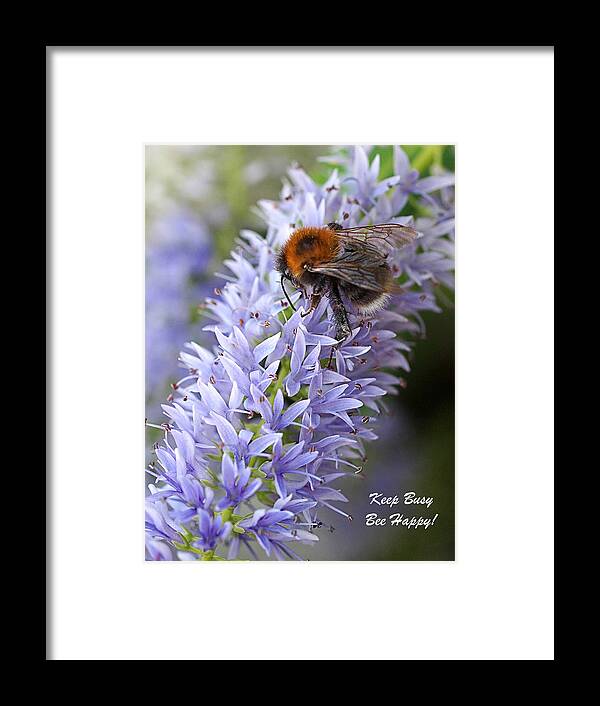 Bee Framed Print featuring the photograph Keep Busy - Bee Happy 2 by Gill Billington