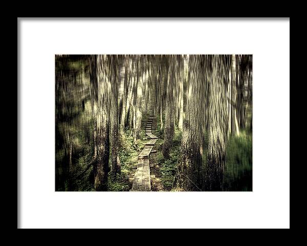 Alaska Framed Print featuring the photograph Keep on the Path by Michele Cornelius