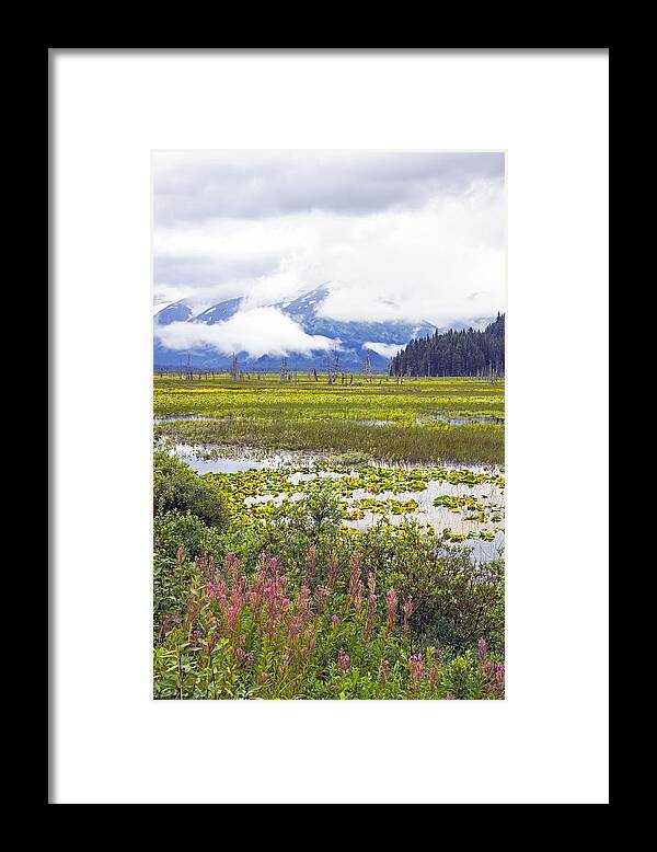 Turnagain Framed Print featuring the photograph Kenai Lake by Saya Studios