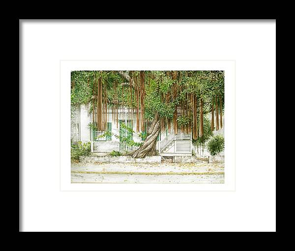 Street Scene Framed Print featuring the painting Key West Banyan by Bob George