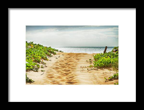 Theresa Tahara Framed Print featuring the photograph Kihei Maui Beach Path by Theresa Tahara