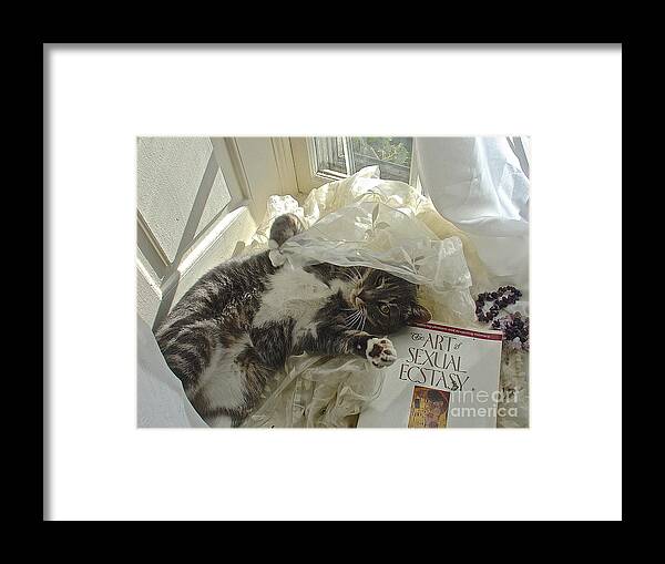 Cat Photograph Prints Framed Print featuring the photograph Kiki Kinky in Ecstasy by Delona Seserman