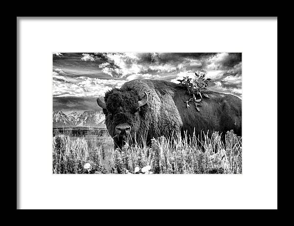 Tetons Framed Print featuring the photograph Monarch of the Plains by Jim Garrison