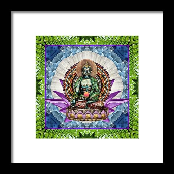 Mandalas Framed Print featuring the photograph King Panacea by Bell And Todd