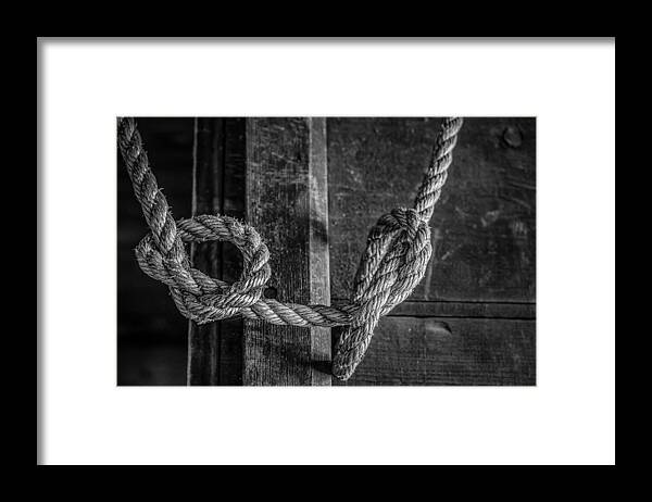 Knots Framed Print featuring the photograph Knots by Steve Stanger