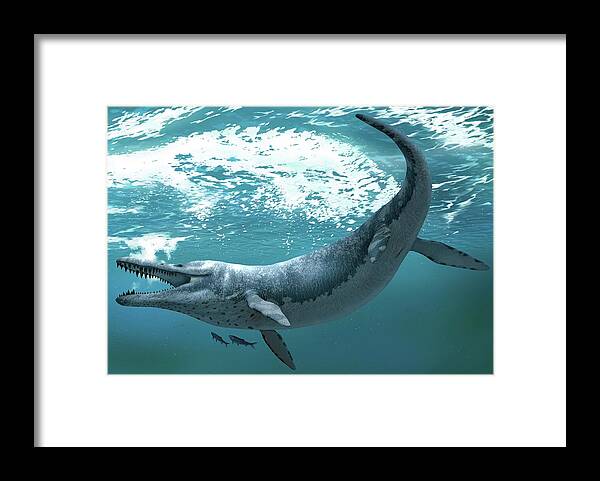 Kronosaurus Queenslandicus Framed Print featuring the photograph Kronosaurus Extinct Marine Reptile by Jaime Chirinos/science Photo Library