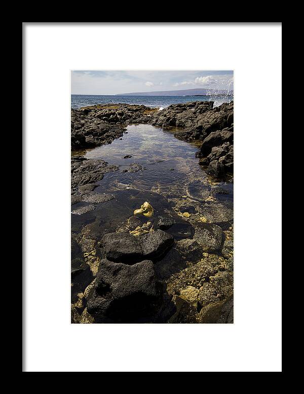 La Perouse Bay Framed Print featuring the photograph La Perouse Tidepool by The Ecotone