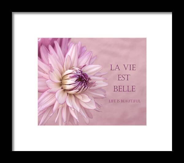 Purple Dahlia Framed Print featuring the photograph La Vie Est Belle by Kim Hojnacki