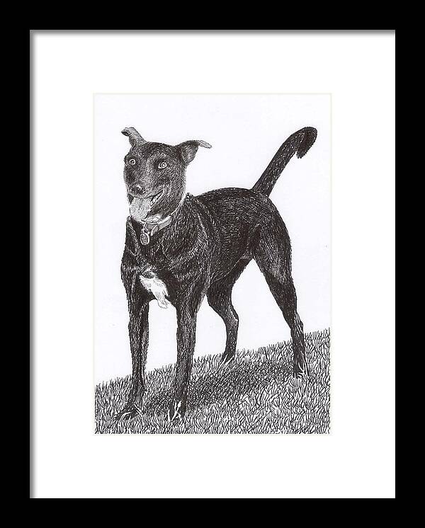 Priced Starting At $ 100.00 To $ 125.00 Framed Prints Of Man�s Best Friend. Framed Pen & Ink Art Of Winer Dogs. Ink Art Of Pets. Art Of Dogs And Cats.sue's Dog Drawn In Pen & Ink. Framed Print featuring the drawing Here is Once OWN SEE by Jack Pumphrey