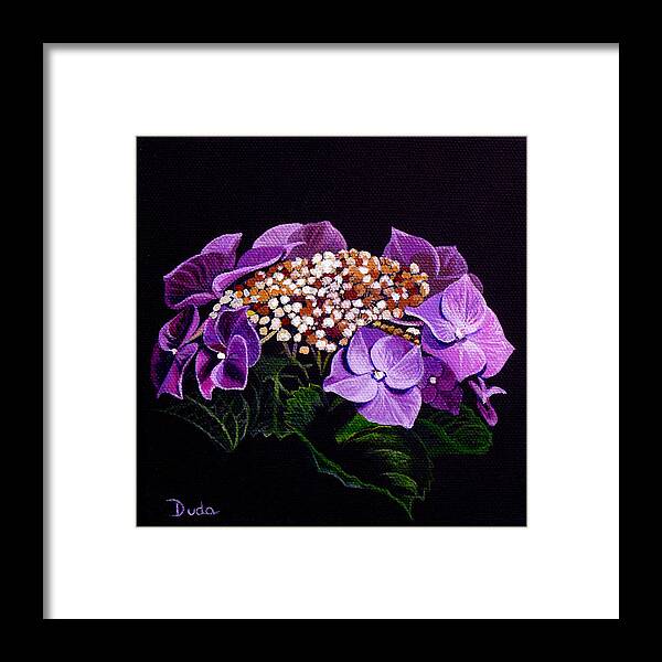 Lacey Cap Hydrangea Framed Print featuring the painting Lace Cap Hydrangea by Susan Duda