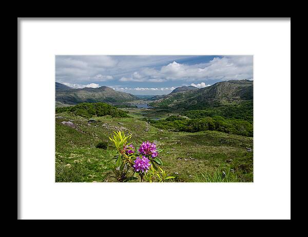 Ladies View Framed Print featuring the photograph Ladies View Co.Kerry by Martina Fagan