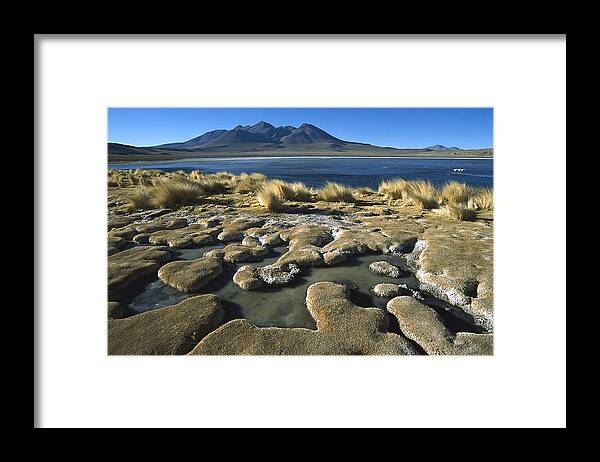 Feb0514 Framed Print featuring the photograph Laguna Canapa Potosi District Altiplano by Tui De Roy