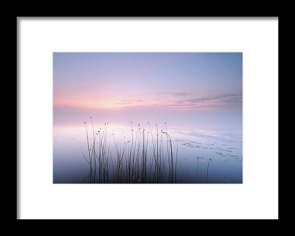 Seascape Framed Print featuring the photograph Lake by 
