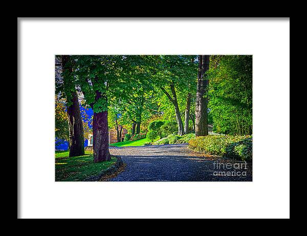 Sunlight Filtering Through Trees Framed Print featuring the photograph Lake Como Path by Kate McKenna