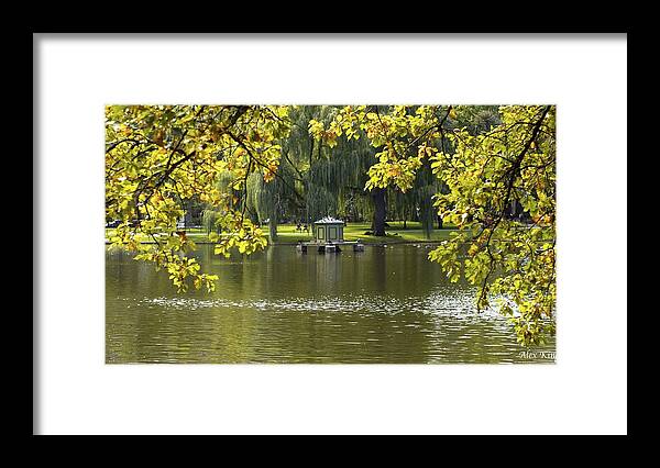 Lake Framed Print featuring the photograph Lake in Boston Park by Alex King