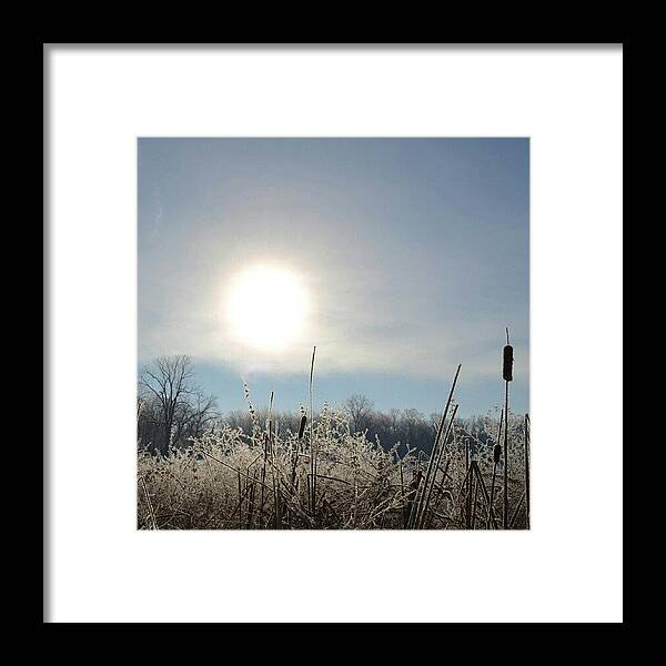 Instagram Framed Print featuring the photograph Lake Landscape by Alexa V