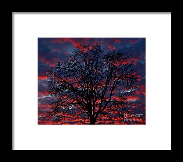 Pacific Framed Print featuring the photograph Lake Oswego Sunset by Nick Boren