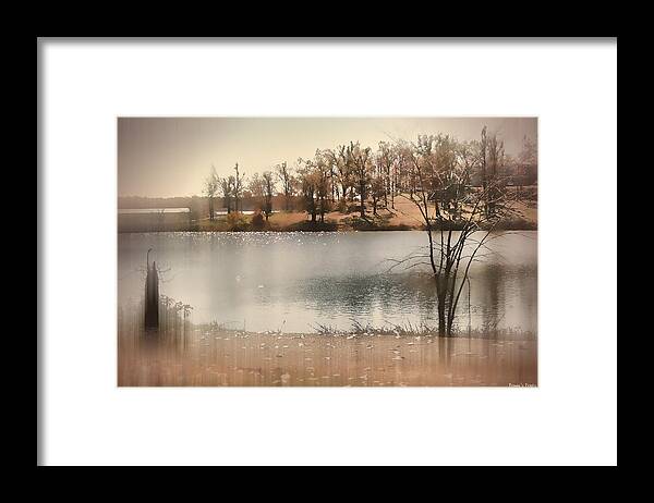 Kentucky Lake Framed Print featuring the photograph Lakes Edge by Bonnie Willis