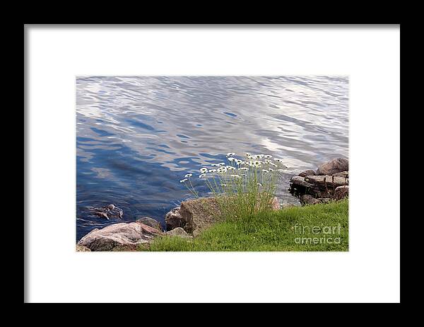 Lake Framed Print featuring the photograph Lakeshore by Margaret Hamilton