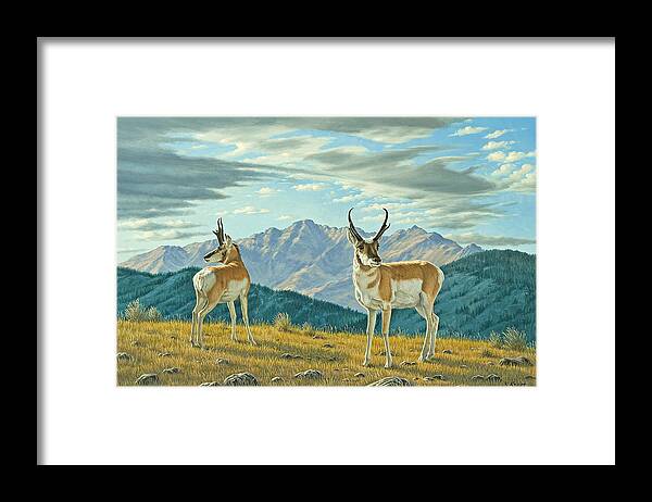 Wildlife Framed Print featuring the painting Land of the Free by Paul Krapf