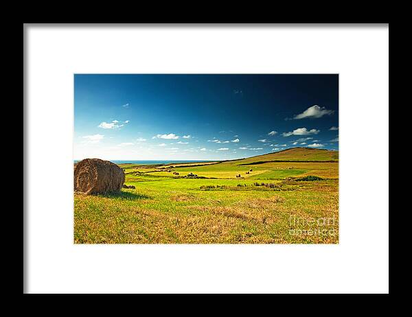 Nice Framed Print featuring the photograph Landscape At Summer by Boon Mee