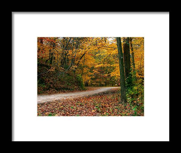 Landscape Framed Print featuring the photograph Lane in Fall by Virginia Folkman