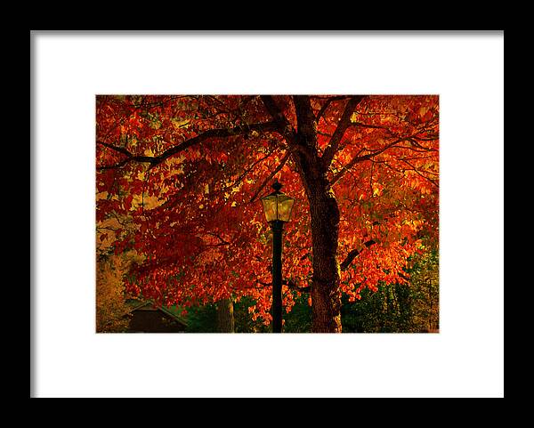 Autumn Framed Print featuring the photograph Lantern in autumn by Susanne Van Hulst