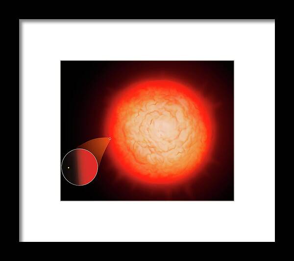 Star Framed Print featuring the photograph Largest Star Uv Scuti Compared To Sun by Mark Garlick