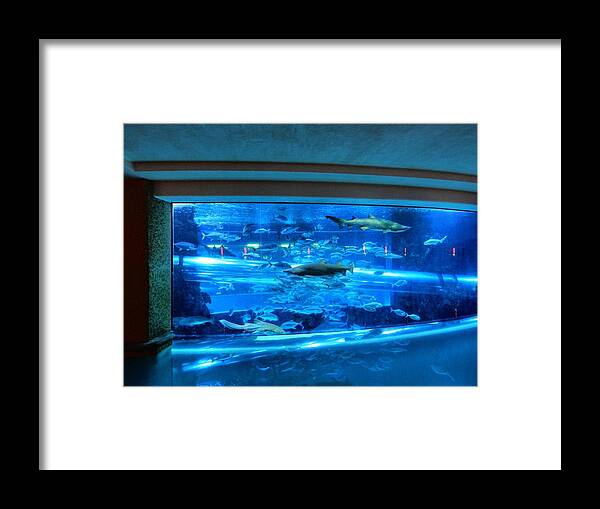 Aquarium Framed Print featuring the photograph Las Vegas 067 by Lance Vaughn