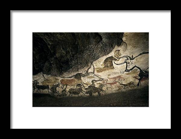 Cave Painting Framed Print featuring the photograph Lascaux II cave painting replica by Science Photo Library